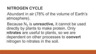 NITROGEN CYCLE
Abundant in air (78% of the volume of Earth’s
atmosphere).
Because N2 is unreactive, it cannot be used
directly by plants to make protein. Only
nitrates are useful to plants, so we are
dependent on other processes to convert
nitrogen to nitrates in the soil.
 
