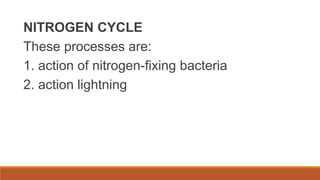 NITROGEN CYCLE
These processes are:
1. action of nitrogen-fixing bacteria
2. action lightning
 