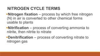 NITROGEN CYCLE TERMS
Nitrogen fixation – process by which free nitrogen
(N) in air is converted to other chemical forms
usable to plants
Nitrification – process of converting ammonia to
nitrite, then nitrite to nitrate
Denitrification – process of converting nitrate to
nitrogen gas
 