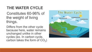 THE WATER CYCLE
Constitutes 60-96% of
the weight of living
things.
Differs from the other cycle
because here, water remains
unchanged unlike in other
cycles (ex. In carbon cycle,
carbon takes the form of CO2)
 
