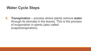Water Cycle Steps
6. Transpiration – process where plants remove water
through its stomata in the leaves. This is the process
of evaporation in plants (also called
evapotranspiration).
 