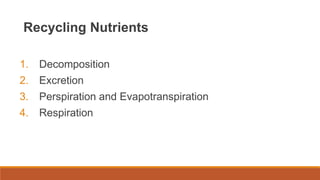 Recycling Nutrients
1. Decomposition
2. Excretion
3. Perspiration and Evapotranspiration
4. Respiration
 