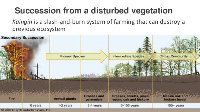 unit 5 lesson 5 7 ecological succession secondary succession