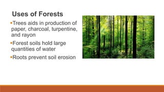 Uses of Forests
Trees aids in production of
paper, charcoal, turpentine,
and rayon
Forest soils hold large
quantities of water
Roots prevent soil erosion
 
