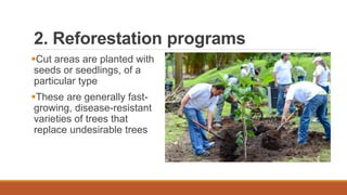 2. Reforestation programs
Cut areas are planted with
seeds or seedlings, of a
particular type
These are generally fast-
growing, disease-resistant
varieties of trees that
replace undesirable trees
 