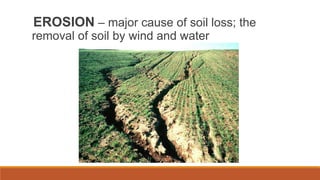 EROSION – major cause of soil loss; the
removal of soil by wind and water
 
