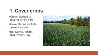 1. Cover crops
Crops planted to
cover a whole field
Have fibrous roots to
prevent erosion
Ex. Clover, alfalfa,
oats, wheat, hay
 