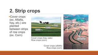 2. Strip crops
Cover crops
(ex. Alfalfa,
hay, etc.) are
planted
between strips
of row crops
(ex. Corn)
Cover crops (alfalfa)
Row crops (corn)
Cover crops (hay, oats)
Row crops (corn)
 