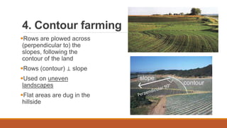 4. Contour farming
Rows are plowed across
(perpendicular to) the
slopes, following the
contour of the land
Rows (contour) ⊥ slope
Used on uneven
landscapes
Flat areas are dug in the
hillside
 