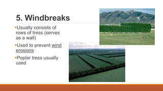 5. Windbreaks
Usually consists of
rows of tress (serves
as a wall)
Used to prevent wind
erosions
Poplar tress usually
used
 
