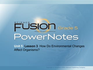 Unit 5 Lesson 3 How Do Environmental Changes
Affect Organisms?
Copyright © Houghton Mifflin Harcourt Publishing Company
 