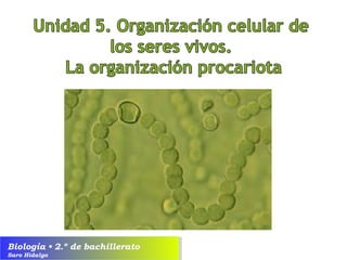 Biología • 2.º de bachillerato
Saro Hidalgo
 