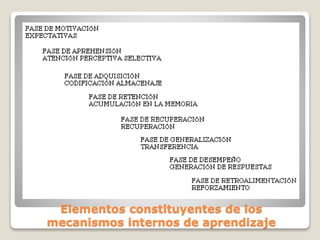 Elementos constituyentes de los
mecanismos internos de aprendizaje
 