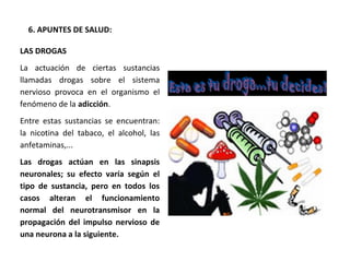 LAS DROGAS
La actuación de ciertas sustancias
llamadas drogas sobre el sistema
nervioso provoca en el organismo el
fenómeno de la adicción.
Entre estas sustancias se encuentran:
la nicotina del tabaco, el alcohol, las
anfetaminas,...
Las drogas actúan en las sinapsis
neuronales; su efecto varía según el
tipo de sustancia, pero en todos los
casos alteran el funcionamiento
normal del neurotransmisor en la
propagación del impulso nervioso de
una neurona a la siguiente.
6. APUNTES DE SALUD:
 