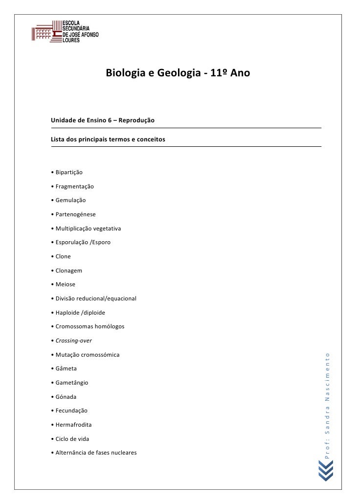 Associe Cada Um Dos Termos Aos Seus Respectivos Conceitos