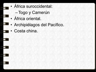 • África suroccidental:
–Togo y Camerún
• África oriental.
• Archipiélagos del Pacífico.
• Costa china.
 