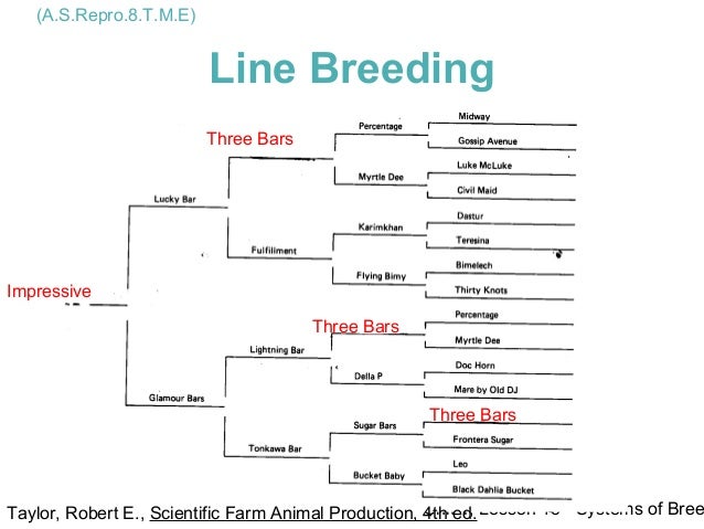 Line Breeding Dogs Chart Line Breeding Dogs Chart