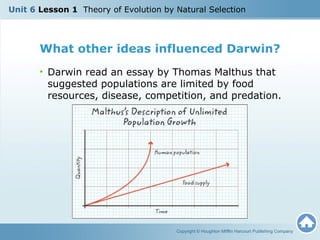 U6 L1 Theory of Evolution by Natural Selection | PPT