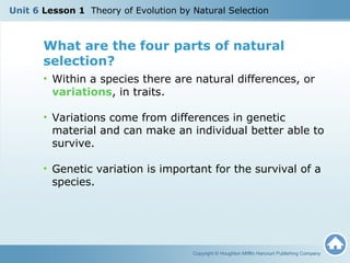 U6 L1 Theory of Evolution by Natural Selection | PPT