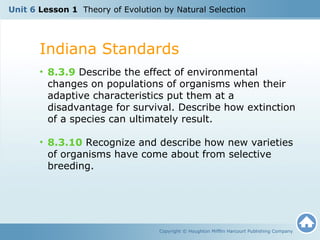 U6 L1 Theory of Evolution by Natural Selection | PPT