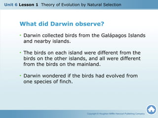 U6 L1 Theory of Evolution by Natural Selection | PPT