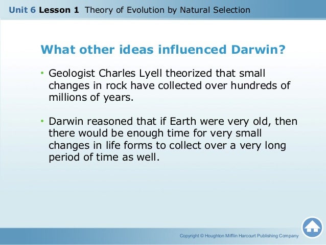 How Did Lamarck S Theory Influenced Darwin S Idea Of Natural Selection How Did Lamarck S Theory Influenced Darwin S Idea Of Natural Selection