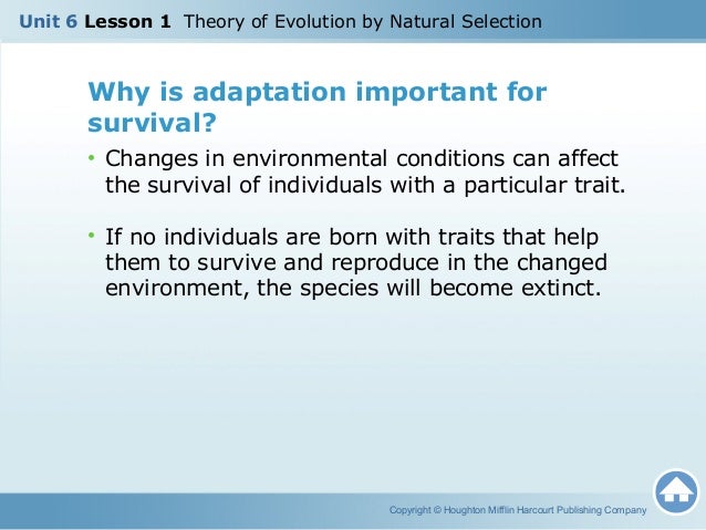 Why Is Adaptation Important In Natural Selection Why Is Adaptation Important In Natural Selection