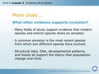 Unit 6 Lesson 2 Evidence of Evolution 
More clues … 
What other evidence supports evolution? 
• Many fields of study support evidence that modern 
species and extinct species share an ancestor. 
• A common ancestor is the most recent species 
from which two different species have evolved. 
• Structural data, DNA, developmental patterns, 
and fossils all support the theory that populations 
change over time. 
Copyright © Houghton Mifflin Harcourt Publishing Company 
 