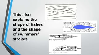This also
explains the
shape of fishes
and the shape
of swimmers’
strokes.
 