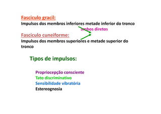 Fasciculo gracil:
Impulsos dos membros inferiores metade inferior do tronco
ambos diretos
Fasciculo cuneiforme:
Impulsos dos membros superiores e metade superior do
tronco
Tipos de impulsos:
Propriocepção consciente
Tato discriminativo
Sensibilidade vibratória
Estereognosia
 