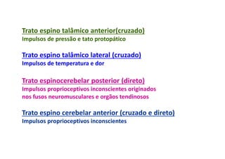 Trato espino talâmico anterior(cruzado)
Impulsos de pressão e tato protopático
Trato espino talâmico lateral (cruzado)
Impulsos de temperatura e dor
Trato espinocerebelar posterior (direto)
Impulsos proprioceptivos inconscientes originados
nos fusos neuromusculares e orgãos tendinosos
Trato espino cerebelar anterior (cruzado e direto)
Impulsos proprioceptivos inconscientes
 