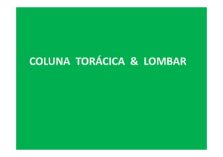 COLUNA TORÁCICA & LOMBAR
 