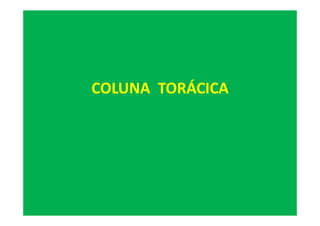 COLUNA TORÁCICA
 