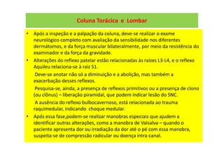 Coluna Torácica e Lombar
• Após a inspeção e a palpação da coluna, deve-se realizar o exame
neurológico completo com avaliação da sensibilidade nos diferentes
dermátomos, e da força muscular bilateralmente, por meio da resistência do
examinador e da força da gravidade.
• Alterações do reflexo patelar estão relacionadas às raízes L3-L4, e o reflexo
Aquileu relaciona-se à raiz S1.
Deve-se anotar não só a diminuição e a abolição, mas também a
exacerbação desses reflexos.
Pesquisa-se, ainda, a presença de reflexos primitivos ou a presença de clono
(ou clônus) – liberação piramidal, que podem indicar lesão do SNC.
A ausência do reflexo bulbocavernoso, está relacionada ao trauma
raquimedular, indicando choque medular.
• Após essa fase,podem-se realizar manobras especiais que ajudem a
identificar outras alterações, como a manobra de Valsalva – quando o
paciente apresenta dor ou irradiação da dor até o pé com essa manobra,
suspeita-se de compressão radicular ou doença intra-canal.
 