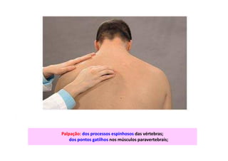 Palpação: dos processos espinhosos das vértebras;
dos pontos gatilhos nos músculos paravertebrais;
 