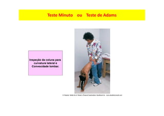 Teste Minuto ou Teste de Adams
 