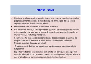 • Na cifose senil verdadeira, o paciente em processo de envelhecimento fica
progressivamente curvado e mais baixo pela diminuição de espessura
degenerativa dos discos intervertebrais.
• Pode ocorrer dor se houver osteoartrite associada.
• Nas mulheres idosas, a cifose pode ser agravada pela osteoporose senil ou
osteomalacia, que leva a uma formação cuneiforme vertebral anterior e,
muitas vezes, a fraturas patológicas.
Geralmente há evidências radiográficas de descalcificação, a química do
sangue pode estar alterada, e a dor é uma característica se houver
fraturas recentes do corpo vertebral.
O tratamento é dirigido para controlar a osteoporose ou osteomalacia
subjacente.
Suportes vertebrais torácicos não têm efeito em particular e não podem
ser tolerados pelo idoso, mas um colete lombar simples é útil para aliviar a
dor originada pelo aumento secundário da lordose lombar.
CIFOSE SENIL
 
