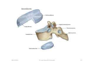 figura
08/12/2015 Dr. José Heitor M. Fernandes 217
 