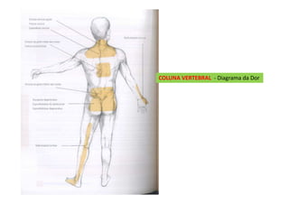 COLUNA VERTEBRAL - Diagrama da Dor
 