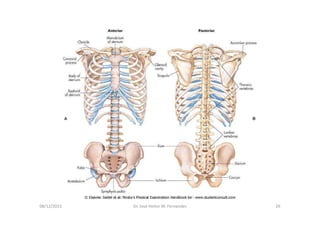 figura
08/12/2015 Dr. José Heitor M. Fernandes 26
 
