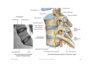 figura
08/12/2015 Dr. José Heitor M. Fernandes 263
 