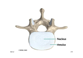figura
08/12/2015 Dr. José Heitor Machado Fernandes 274
 
