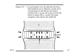 figura
08/12/2015 Dr. José Heitor Machado Fernandes 278
 