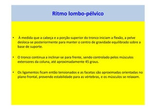 Ritmo lombo-pélvico
• À medida que a cabeça e a porção superior do tronco iniciam a flexão, a pelve
desloca-se posteriormente para manter o centro de gravidade equilibrado sobre a
base de suporte.
• O tronco continua a inclinar-se para frente, sendo controlado pelos músculos
extensores da coluna, até aproximadamente 45 graus.
• Os ligamentos ficam então tensionados e as facetas são aproximadas orientadas no
plano frontal, provendo estabilidade para as vértebras, e os músculos se relaxam.
 