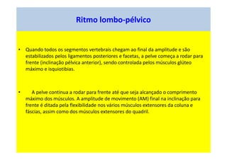 Ritmo lombo-pélvico
• Quando todos os segmentos vertebrais chegam ao final da amplitude e são
estabilizados pelos ligamentos posteriores e facetas, a pelve começa a rodar para
frente (inclinação pélvica anterior), sendo controlada pelos músculos glúteo
máximo e isquiotibias.
• A pelve continua a rodar para frente até que seja alcançado o comprimento
máximo dos músculos. A amplitude de movimento (AM) final na inclinação para
frente é ditada pela flexibilidade nos vários músculos extensores da coluna e
fáscias, assim como dos músculos extensores do quadril.
 