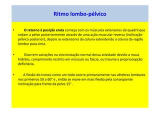 Ritmo lombo-pélvico
• O retorno à posição ereta começa com os músculos extensores do quadril que
rodam a pelve posteriormente através de uma ação muscular reversa (inclinação
pélvica posterior), depois os extensores da coluna estendendo a coluna da região
lombar para cima.
• Ocorrem variações na sincronização normal dessa atividade devido a maus
hábitos, comprimento restrito em músculo ou fáscia, ou trauma e propriocepção
deficitária.
• A flexão do tronco como um todo ocorre primariamente nas vétebras lombares
nos primeiros 50 a 60° e , então se move em mais flexão pela conseqüente
inclinação para frente da pelve 15° .
 