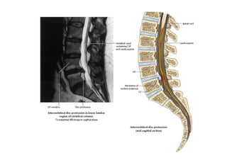 figura
08/12/2015 Dr. José Heitor M. Fernandes 300
 