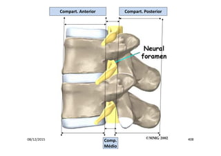 08/12/2015 408
Compart. Anterior Compart. Posterior
Comp.
Médio
 
