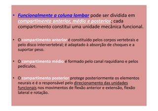 • Funcionalmente a coluna lombar pode ser dividida em
compartimento anterior, médio e posterior; cada
compartimento constitui uma unidade mecânica funcional.
• O compartimento anterior é constituído pelos corpos vertebrais e
pelo disco intervertebral; é adaptado à absorção de choques e a
suportar peso.
• O compartimento médio é formado pelo canal raquidiano e pelos
pedículos.
• O compartimento posterior protege posteriormente os elementos
neurais e é o responsável pelo direcionamento das unidades
funcionais nos movimentos de flexão anterior e extensão, flexão
lateral e rotação.
 