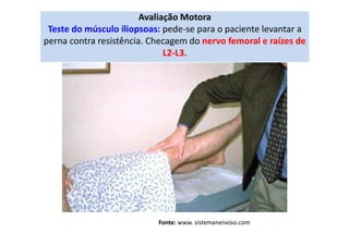 Avaliação Motora
Teste do músculo íliopsoas: pede-se para o paciente levantar a
perna contra resistência. Checagem do nervo femoral e raízes de
L2-L3.
Fonte: www. sistemanervoso.com
 